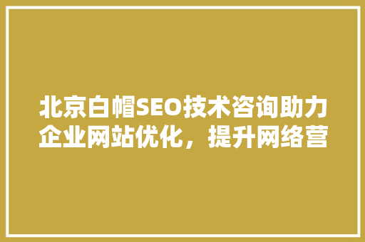 北京白帽SEO技术咨询助力企业网站优化，提升网络营销效果