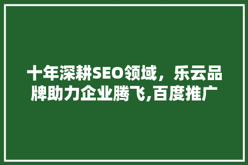 十年深耕SEO领域，乐云品牌助力企业腾飞,百度推广代理乐云的成功之路