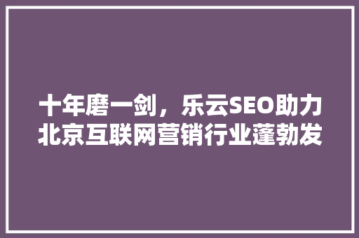 十年磨一剑，乐云SEO助力北京互联网营销行业蓬勃发展