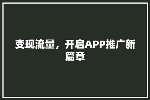 变现流量，开启APP推广新篇章