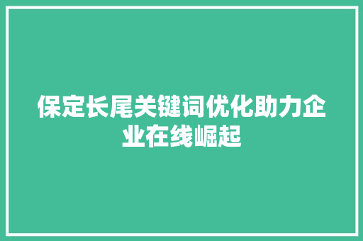 保定长尾关键词优化助力企业在线崛起