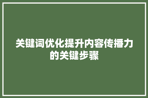 关键词优化提升内容传播力的关键步骤