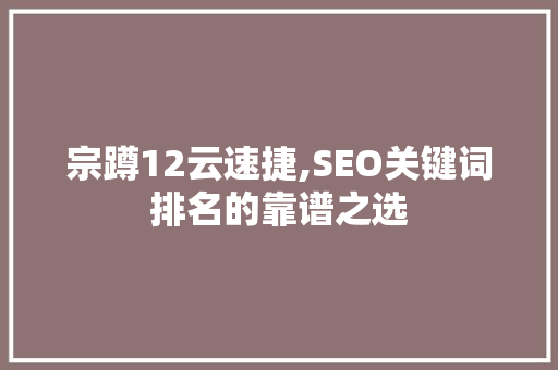 宗蹲12云速捷,SEO关键词排名的靠谱之选