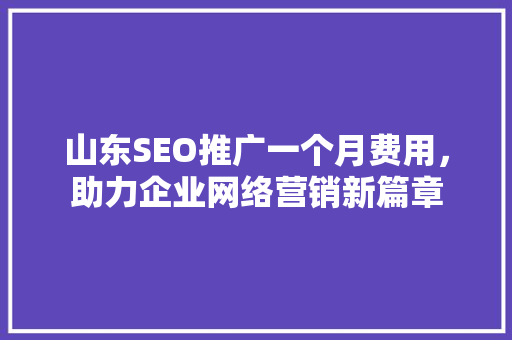 山东SEO推广一个月费用，助力企业网络营销新篇章