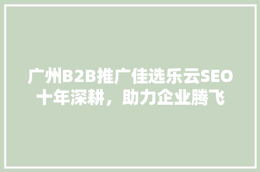广州B2B推广佳选乐云SEO十年深耕，助力企业腾飞