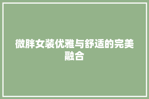 微胖女装优雅与舒适的完美融合