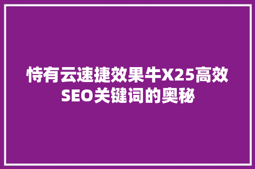 恃有云速捷效果牛X25高效SEO关键词的奥秘