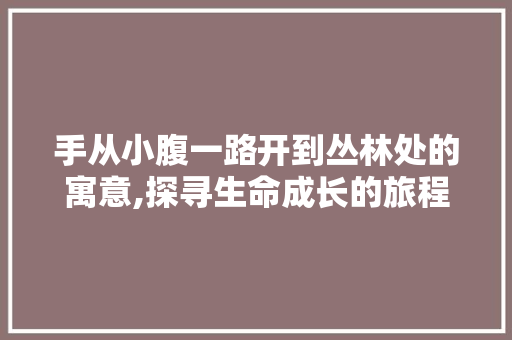 手从小腹一路开到丛林处的寓意,探寻生命成长的旅程