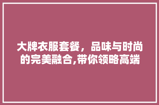 大牌衣服套餐，品味与时尚的完美融合,带你领略高端服饰的魅力