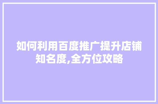 如何利用百度推广提升店铺知名度,全方位攻略