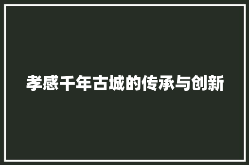 孝感千年古城的传承与创新