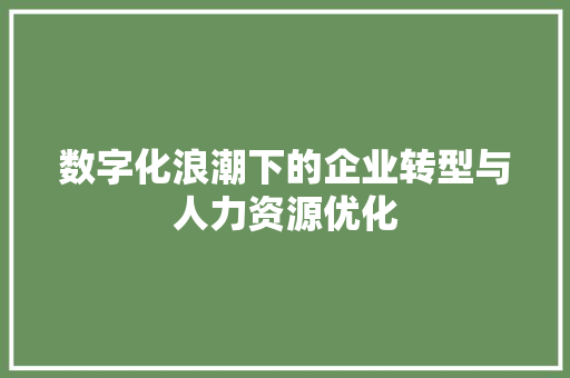 数字化浪潮下的企业转型与人力资源优化