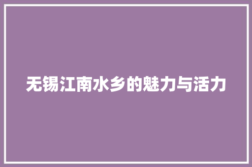 无锡江南水乡的魅力与活力