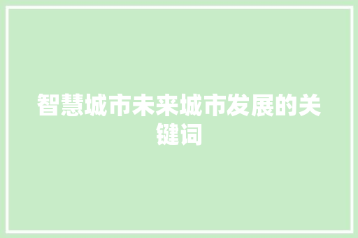 智慧城市未来城市发展的关键词