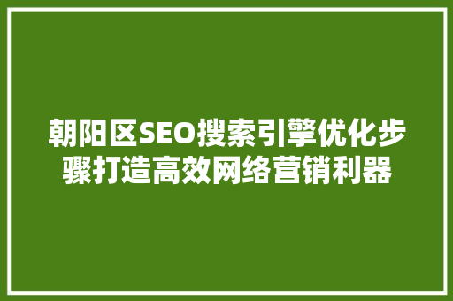 朝阳区SEO搜索引擎优化步骤打造高效网络营销利器