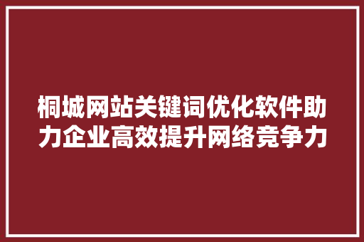 桐城网站关键词优化软件助力企业高效提升网络竞争力