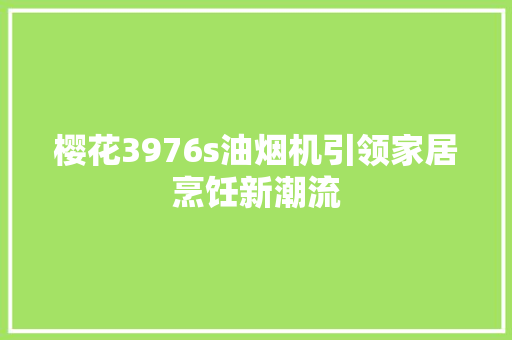 樱花3976s油烟机引领家居烹饪新潮流