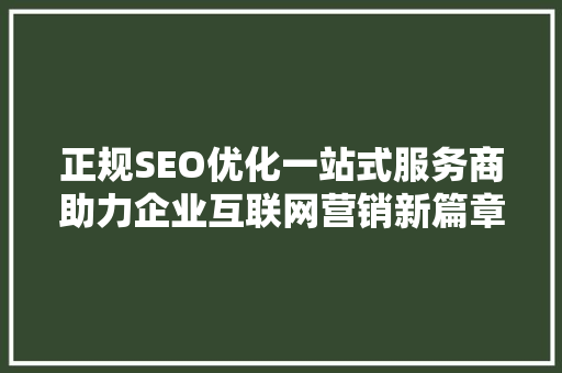 正规SEO优化一站式服务商助力企业互联网营销新篇章
