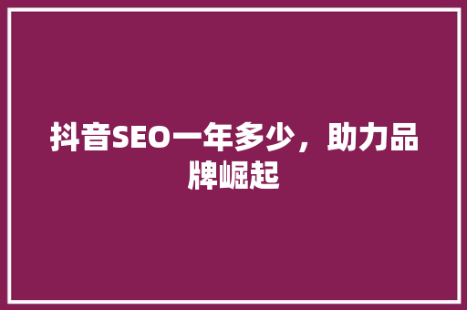 抖音SEO一年多少，助力品牌崛起