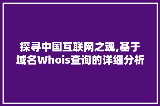 探寻中国互联网之魂,基于域名Whois查询的详细分析