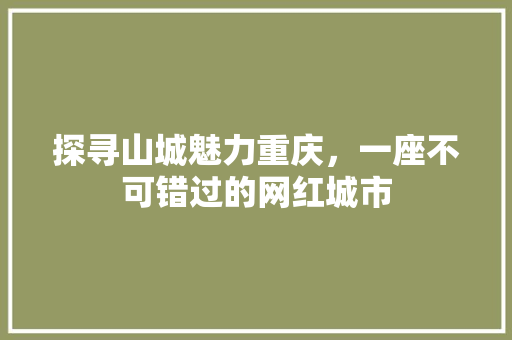 探寻山城魅力重庆，一座不可错过的网红城市