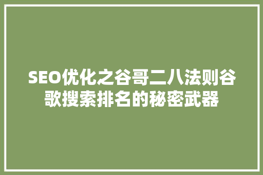 SEO优化之谷哥二八法则谷歌搜索排名的秘密武器