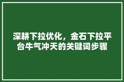 深耕下拉优化，金石下拉平台牛气冲天的关键词步骤
