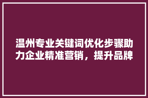温州专业关键词优化步骤助力企业精准营销，提升品牌影响力
