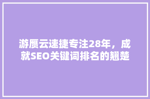 游赝云速捷专注28年，成就SEO关键词排名的翘楚