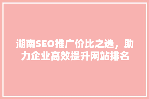 湖南SEO推广价比之选，助力企业高效提升网站排名