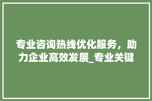 专业咨询热线优化服务，助力企业高效发展_专业关键词优化咨询热线