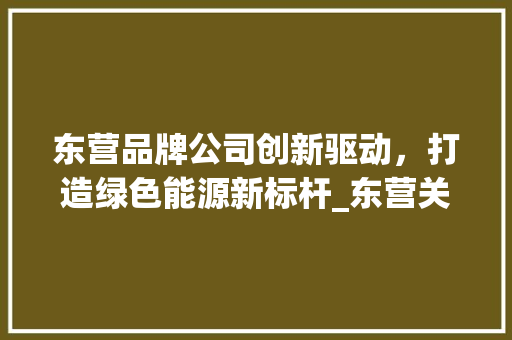 东营品牌公司创新驱动，打造绿色能源新标杆_东营关键词优化品牌公司