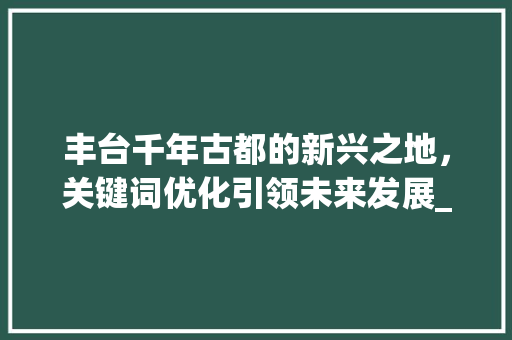 丰台千年古都的新兴之地，关键词优化引领未来发展_丰台网页关键词优化