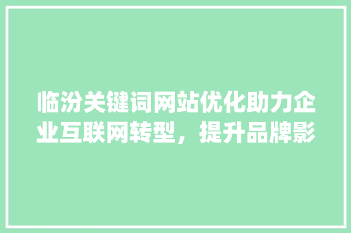 临汾关键词网站优化助力企业互联网转型，提升品牌影响力_临汾关键词网站优化