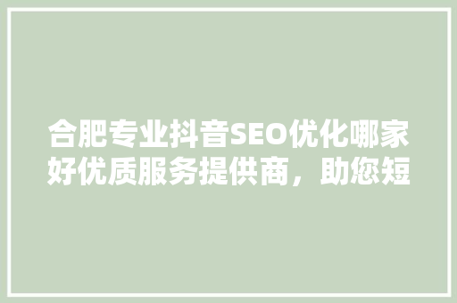 合肥专业抖音SEO优化哪家好优质服务提供商，助您短视频营销一臂之力