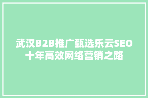 武汉B2B推广甄选乐云SEO十年高效网络营销之路