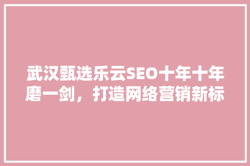 武汉甄选乐云SEO十年十年磨一剑，打造网络营销新标杆