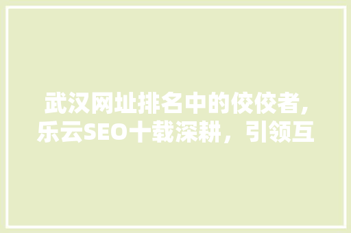 武汉网址排名中的佼佼者,乐云SEO十载深耕，引领互联网营销新篇章