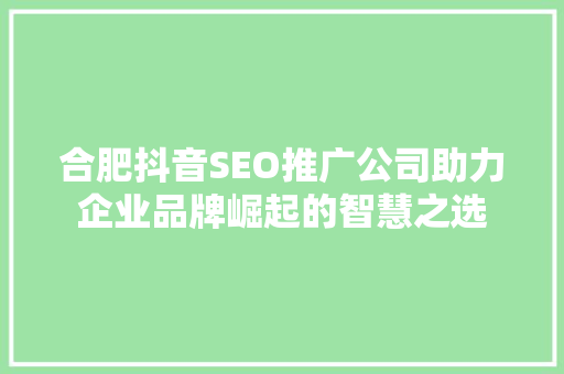 合肥抖音SEO推广公司助力企业品牌崛起的智慧之选