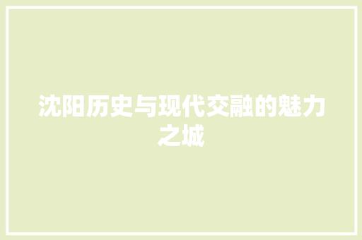 沈阳历史与现代交融的魅力之城