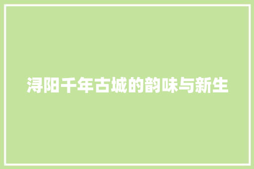 浔阳千年古城的韵味与新生