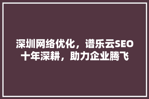 深圳网络优化，谱乐云SEO十年深耕，助力企业腾飞
