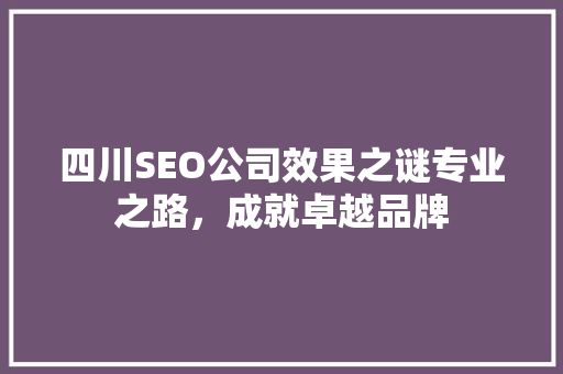 四川SEO公司效果之谜专业之路，成就卓越品牌