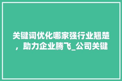 关键词优化哪家强行业翘楚，助力企业腾飞_公司关键词优化哪家好