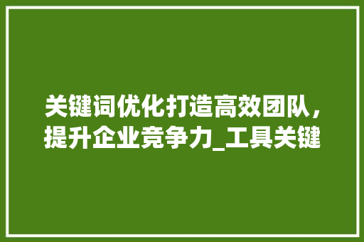 关键词优化打造高效团队，提升企业竞争力_工具关键词优化团队