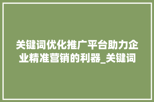 关键词优化推广平台助力企业精准营销的利器_关键词优化推广平台