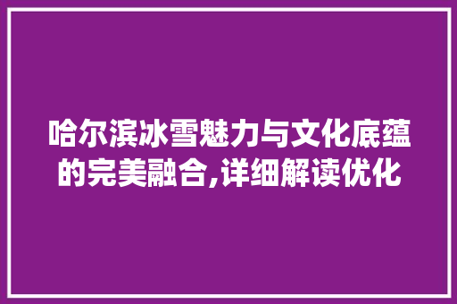 哈尔滨冰雪魅力与文化底蕴的完美融合,详细解读优化关键词推广步骤_哈尔滨优化关键词推广