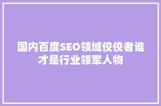 国内百度SEO领域佼佼者谁才是行业领军人物