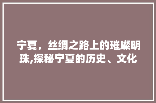宁夏，丝绸之路上的璀璨明珠,探秘宁夏的历史、文化和旅游资源_宁夏关键词优化运营