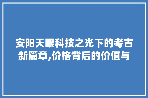 安阳天眼科技之光下的考古新篇章,价格背后的价值与意义_安阳天眼关键词优化价格
